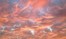 没有黎明的黄昏——双城记_900字