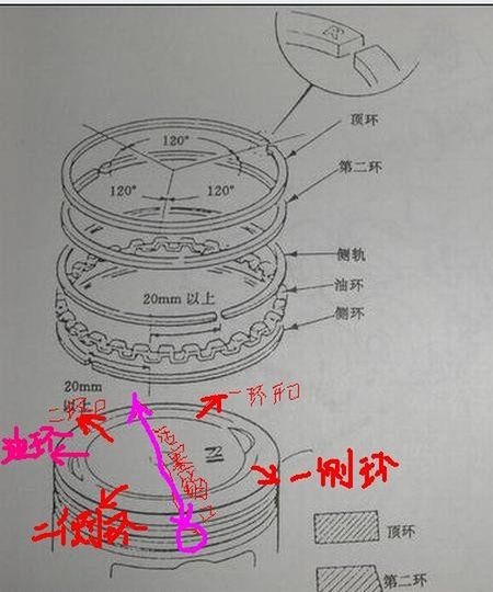 不要失去信心_450字