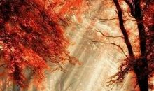 雨——销魂了整个夏季_900字