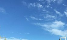 还我们一片自由的蓝天_500字