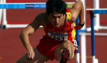 刘翔——中国的骄傲_450字