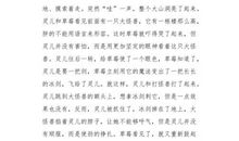 追梦者——贝多芬_550字