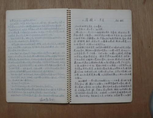 阅读笔记：“梦想回到红色建筑”_1000字