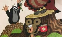 小狮子巴卡的故事