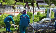 民族精神植树浇水