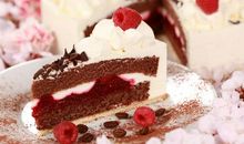 吃蛋糕测试你的理财能力(4)