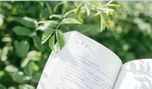 就像....夏天的风_100字