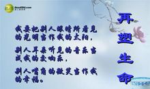 大自然无私的给予了我们无尽的“财宝”_1200字