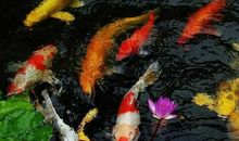 测金钱对你的诱惑_(4)