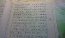 难忘的一次_650字