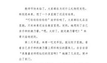 送给老师的礼物_500字