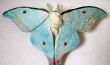 测金钱对你的诱惑_(3)