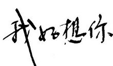 日记：我的梦想（四）_600字