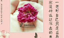赠人玫瑰，手有余香_650字