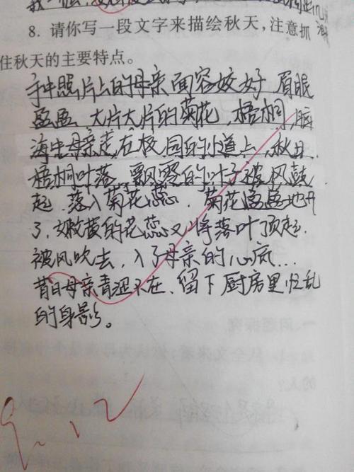 母亲的凝视_700字