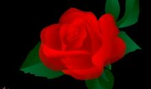 那年遇你，只道是遗憾（上）_550字