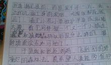 流淌的青春_450字