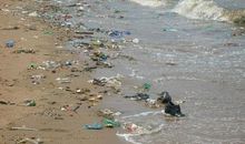 当好人，做好事_500字