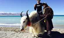 那是什么？走近了才知道!_500字