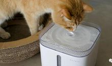 淘气的马桶被我征服了_550字