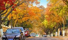 [秋天的童话]秋意浓，逸秋思_650字