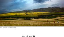 美丽的草原我的家_150字