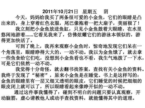 茶日记_300字