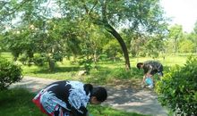 寒假社会实践感悟