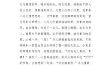 想象作文：躲在草丛的星星_750字