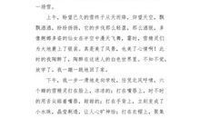 想象作文：冬日玩雪_700字