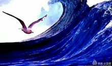 海燕的宣言_800字