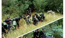 单丝不成线，独木难成林