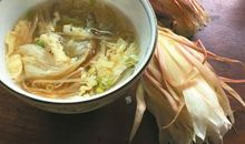 青春如昙花 岁月似流沙_450字