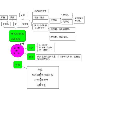 文章的结构和思想之间的关系是什么？