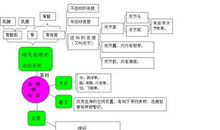 文章的结构与思路的有什么关系？