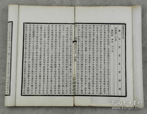 想象一下：想象中的辛巴yi被称为_700字