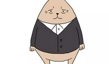 没人懂兔子的悲哀_1000字