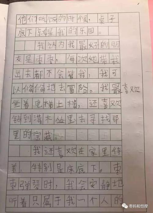 六年级写道：叔叔，你真的买不起_600字