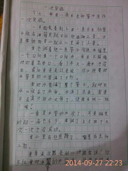 有趣的日记_250字