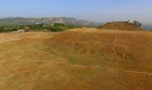 随风飘到那里_700字