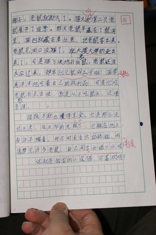 自由组成：请不要，免费_1000字