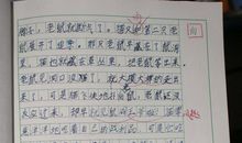 关于自由的作文：请别，自由_1000字