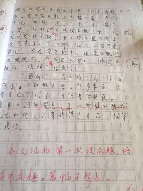 第一次洗衣服_600字