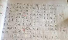 第一次洗衣服_600字