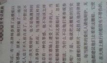 关于自由的作文：自由“界”与现实“限”_700字