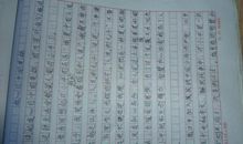 关于自由的作文：在束缚中找自由_750字