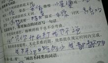 孤岛日记11——学抓鱼_2000字