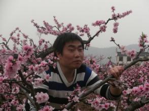 桃子自我起诉_350字