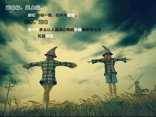 自由的组成：我是自由的 - 记住“Baileyou”的春天之旅_1200字
