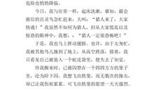 关于自由的作文：渴望得到自由_700字